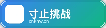 寸止挑战品牌Logo
